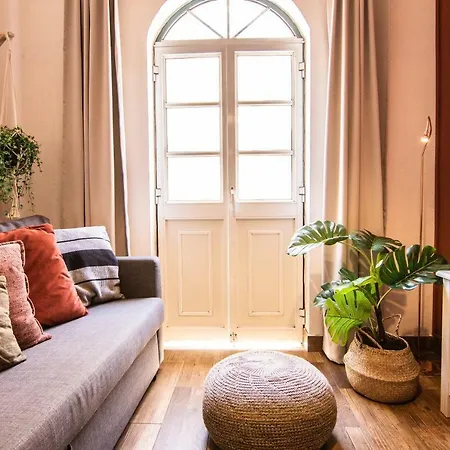 - Apartment