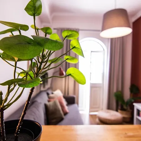 - Apartament *